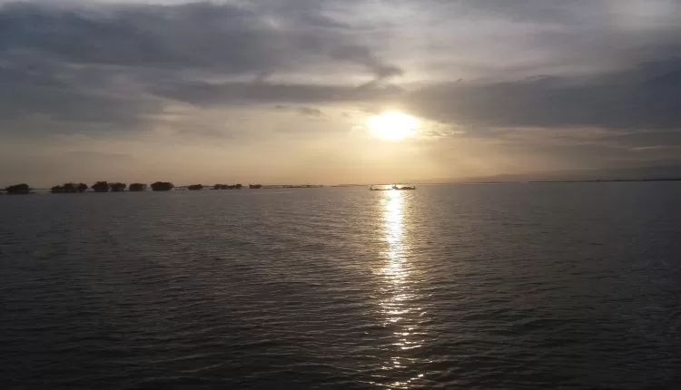 টাঙ্গুয়ার হাওড়