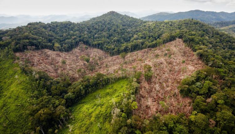 Lost City of the Monkey God