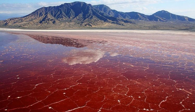 নাট্রন হ্রদ