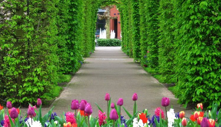 কিউকেনফ, নেদারল্যান্ড