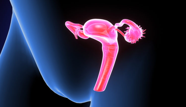 সারভাইক্যাল ক্যান্সার