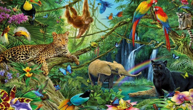 প্রাণীজগৎ