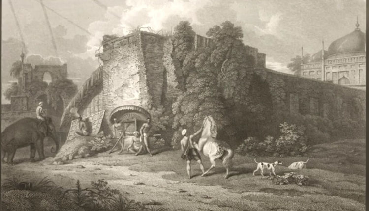 হাতির পাল: